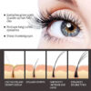 Fast Eyelash Growth Serum 7 Days Natural Eyelash Enhancer Longer Fuller Thicker Lashes Treatment Products Eye Care Makeup - Image 4